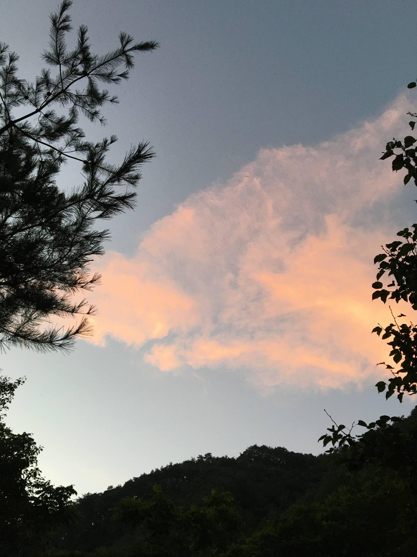 해질녘, 산 위로 물든 구름